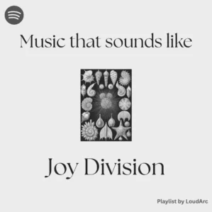 music that sounds like joy division